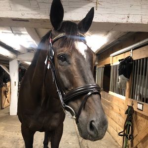 Meet your Posher, Victoria